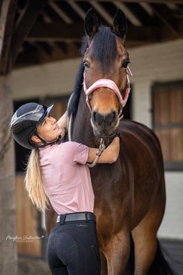 Halsters, touwen &amp; neckropes