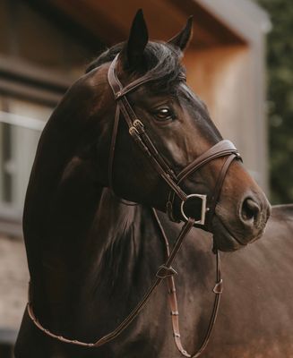 Hoofdstellen &amp; toebehoren