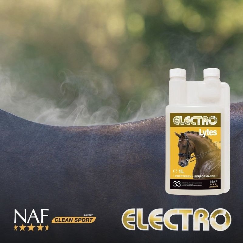 NAF Electro Lytes 1L