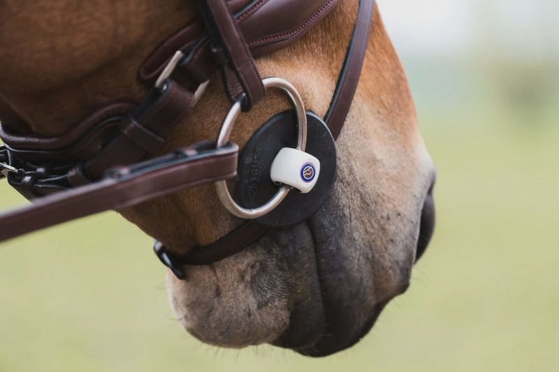 Trust rubber bit ring