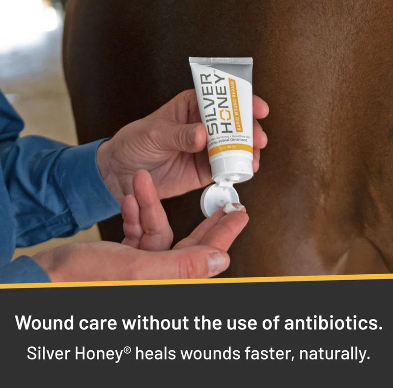 Absorbine Silver Honey ointment