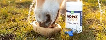 Horseflex Glucose support