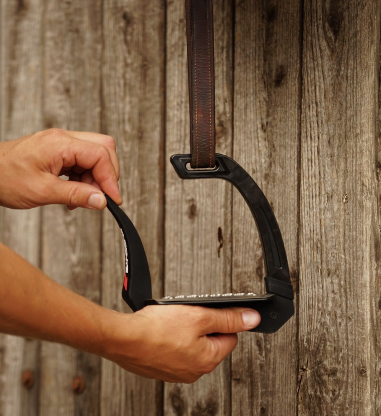 Zandona Omnia veiligheidsbeugel