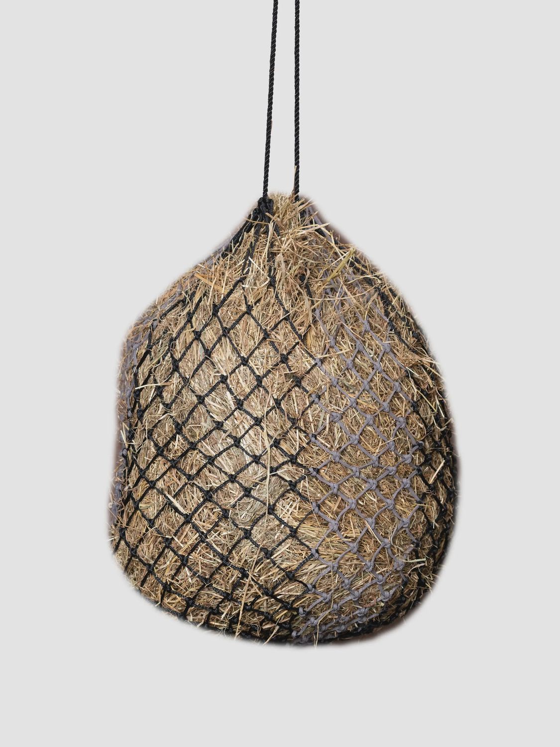 LeMieux Hippo Haynet black