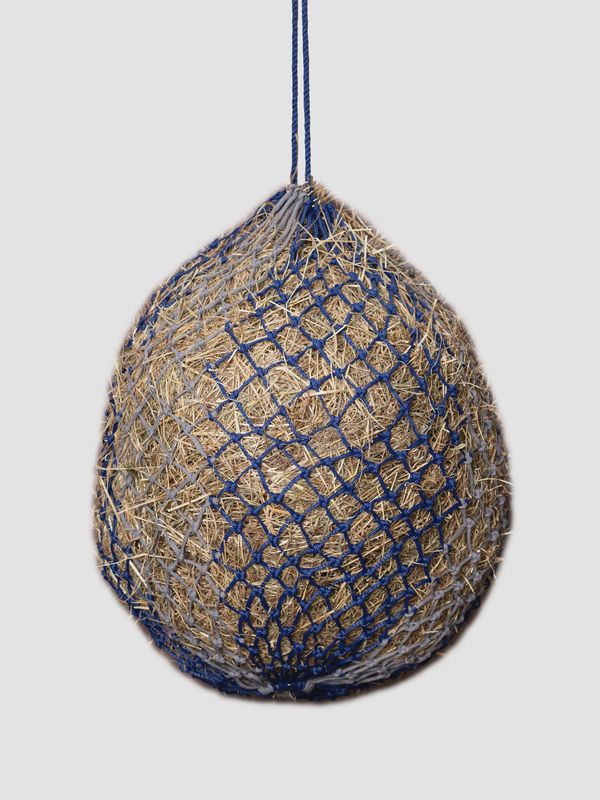 Lemieux Hippo haynet Blue