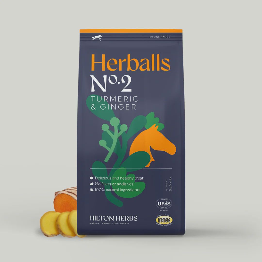 Hilton Herbs Herballs Tumeric &amp; Ginger 2kg