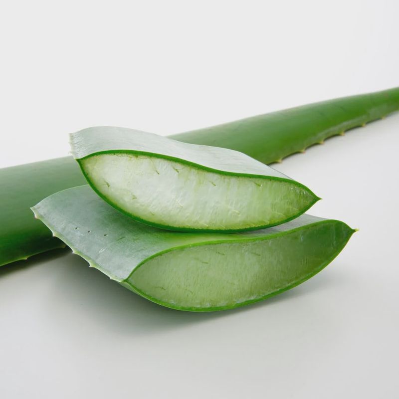Hilton Herbs Aloe Vera 1L