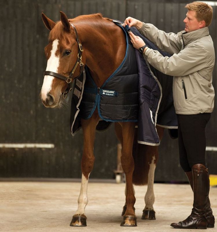 Horseware Liner 100gr