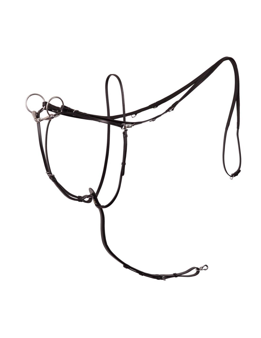 BR Lancaster Thiedeman teugel