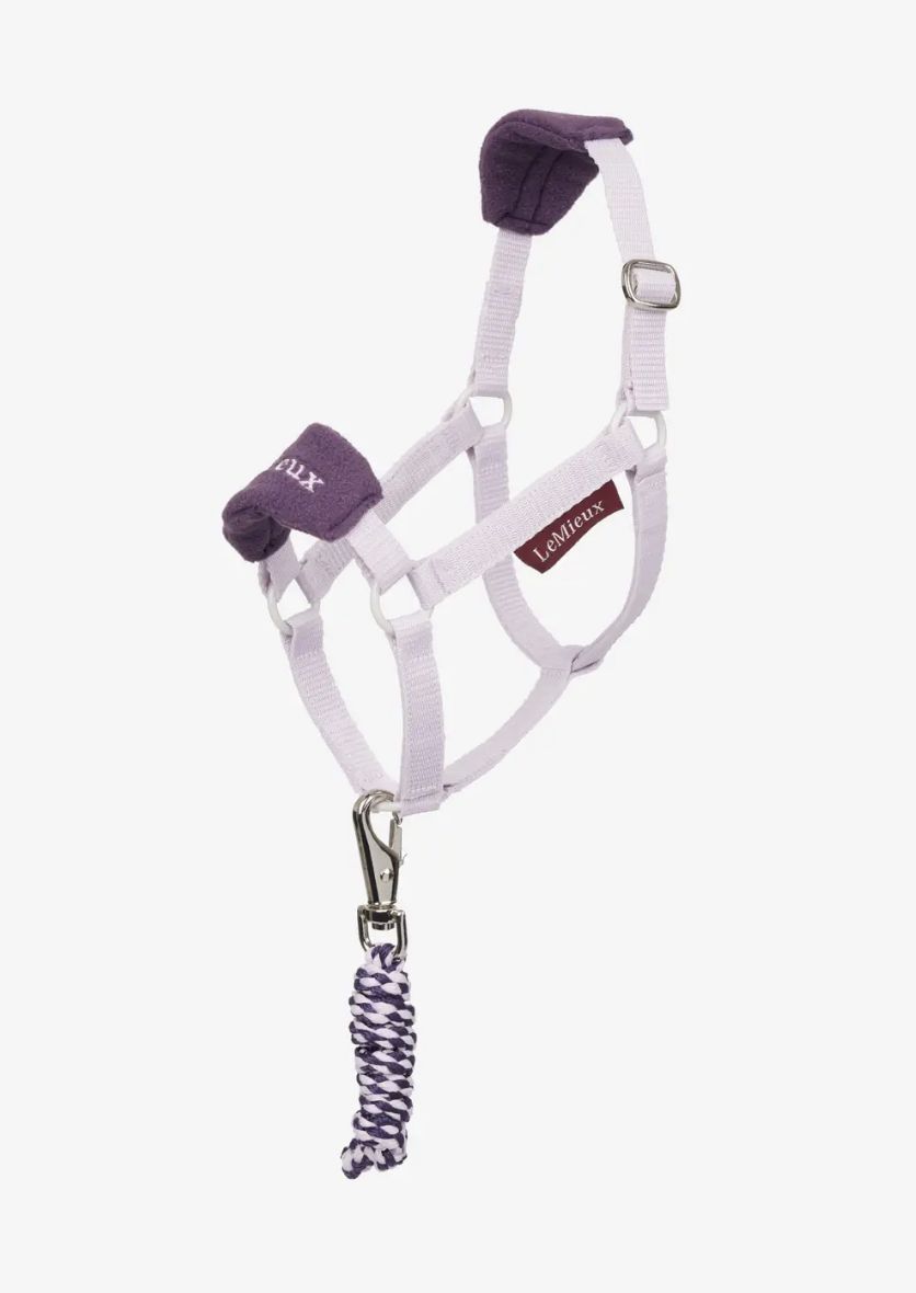 LeMieux Hobby Horse Vogue halster, Kleur: Lilac