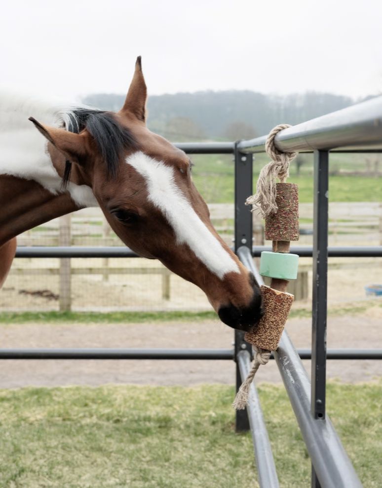 Grooming Deluxe wooden relax toy, Smaak: airways