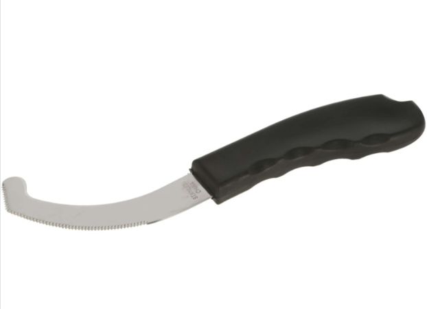 Première mesje voor horzeleitjes