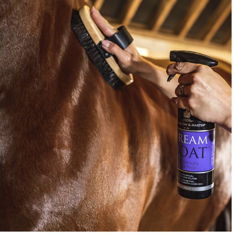 Carr &amp; Day &amp; Martin Dream Coat