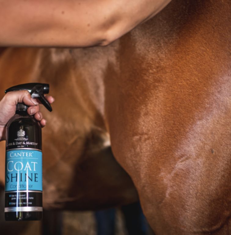 Carr &amp; Day &amp; Martin Coat Shine