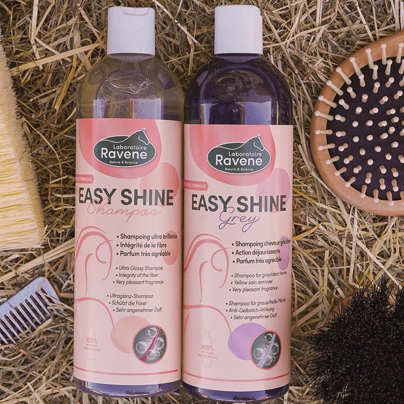 Ravene Easy Shine grey shampoo