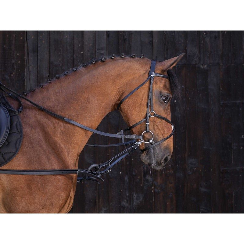 Riding World bijzetteugel