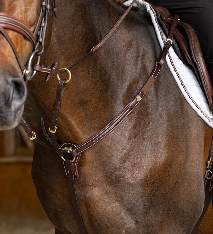 HFI Pro Line Azerro martingaal