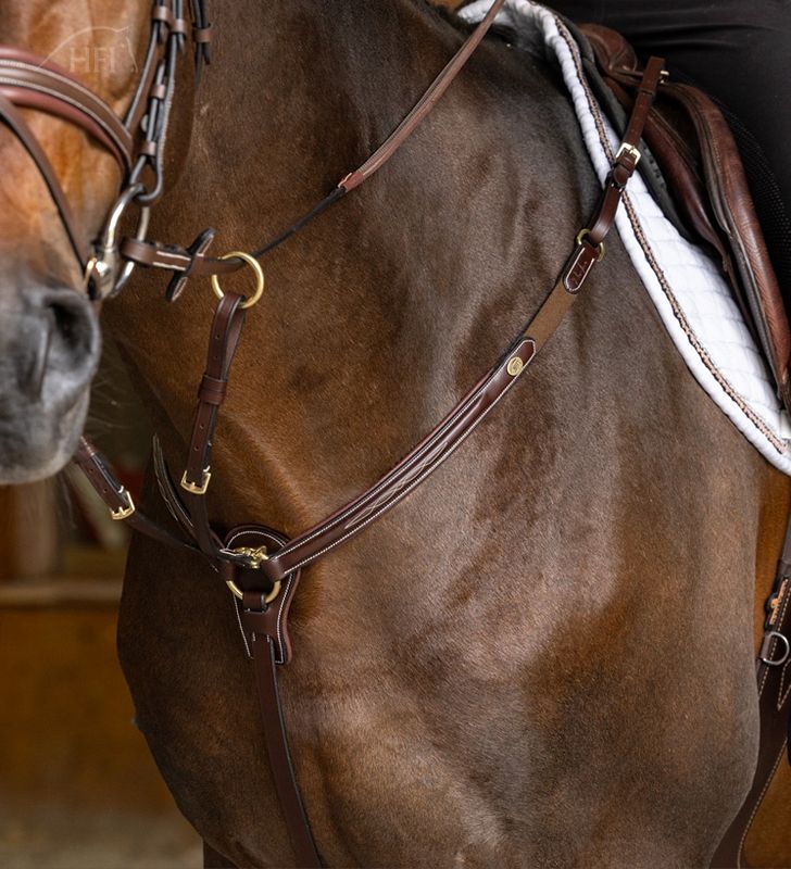 HFI Pro Line Azerro martingaal