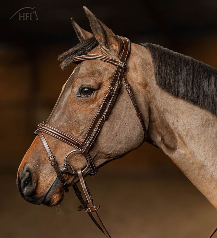 HFI Pro Line Milano hoofdstel