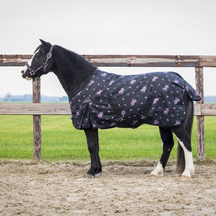 QHP turnout rug Lize 100gr