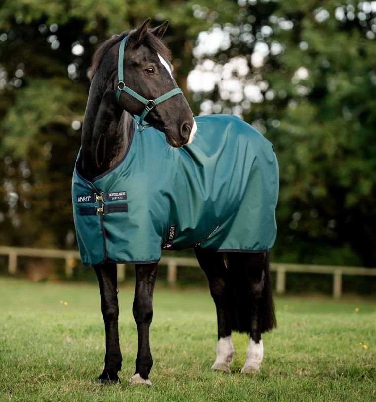 Horseware Amigo ripstop 900d turnout 50gr