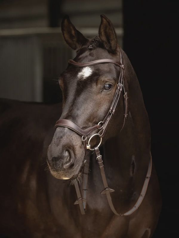 Lemieux Arika drop bridle