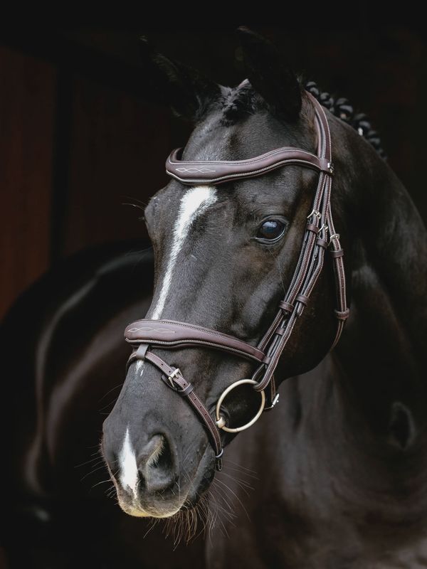 Lemieux Kudos Contour Flash bridle