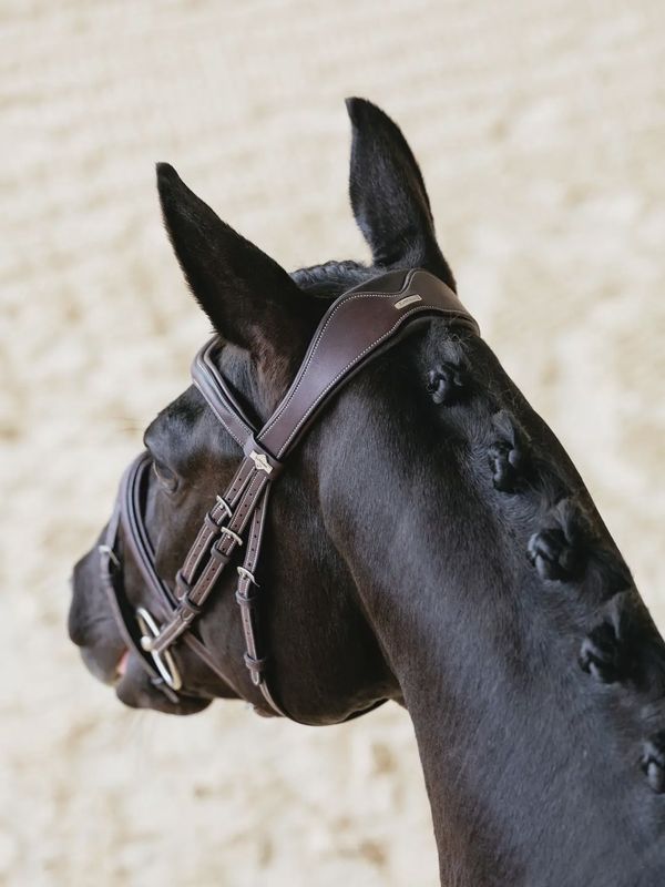Lemieux Kudos Contour Flash bridle