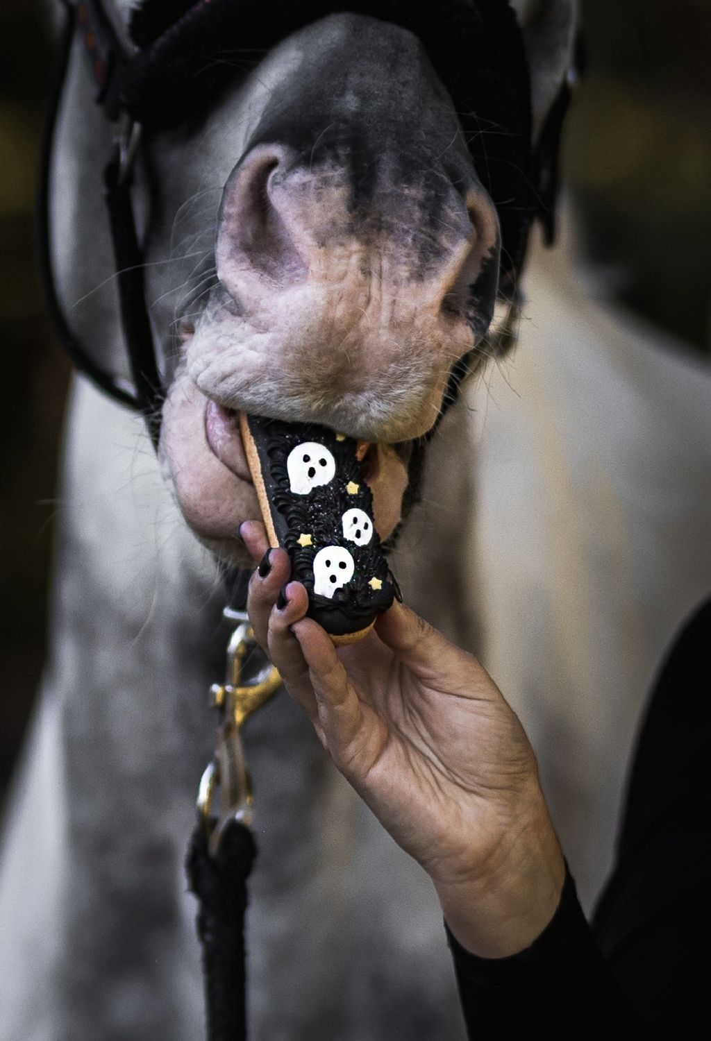 Candy Horse Halloween Eclair met icing