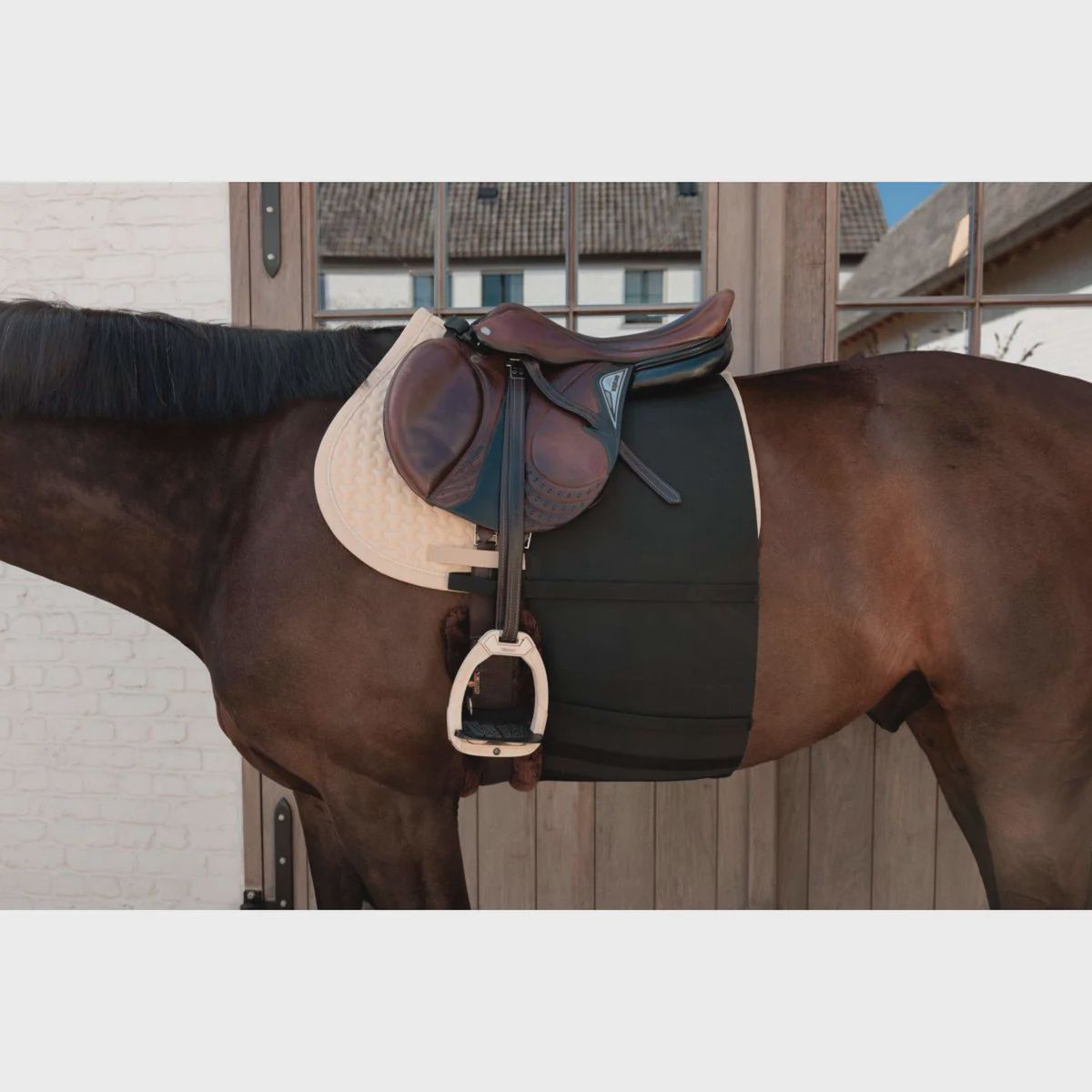 Kentucky Belly Band Full