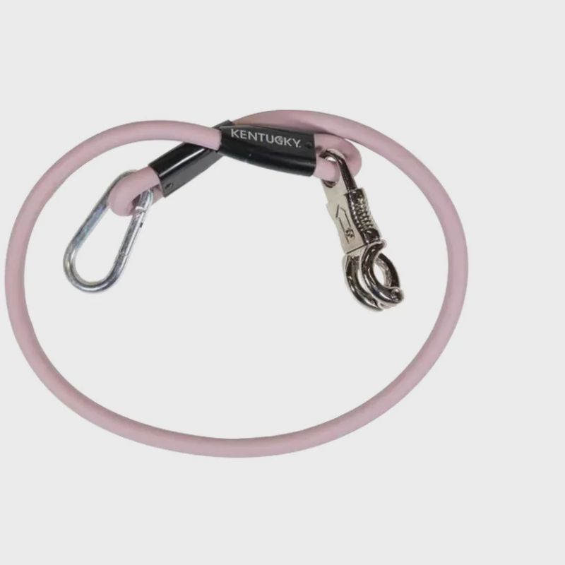 Kentucky horsebox lead &amp; cross ties silicone
