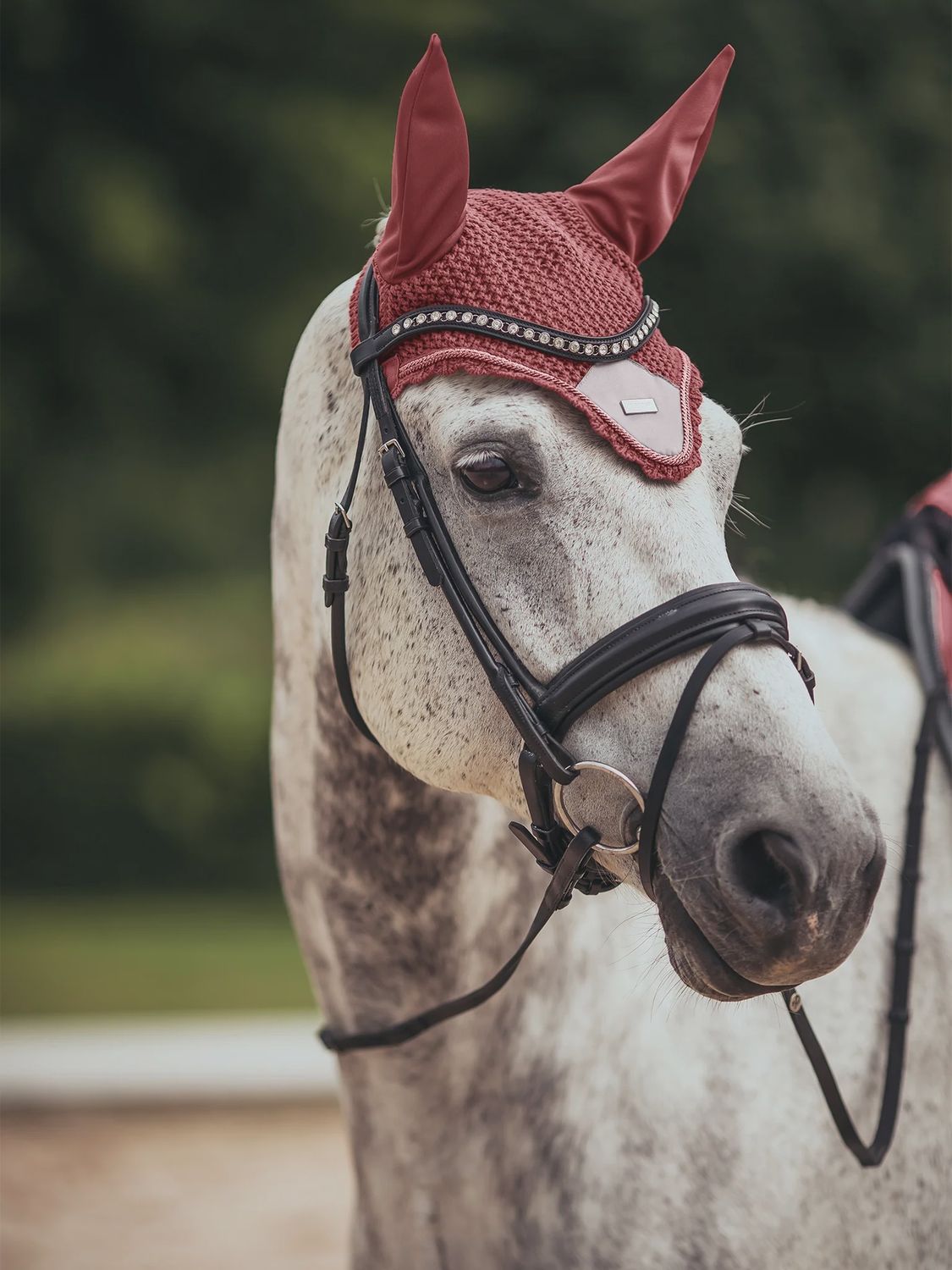 Equestrian Stockholm Ear Bonnet Amber Rose