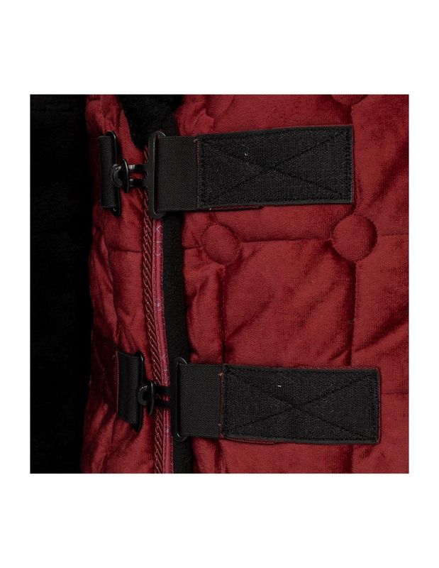 BR CLX show rug