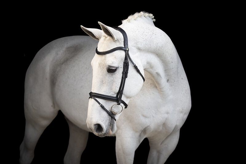 LJ hoofdstel classic touch pony zwart