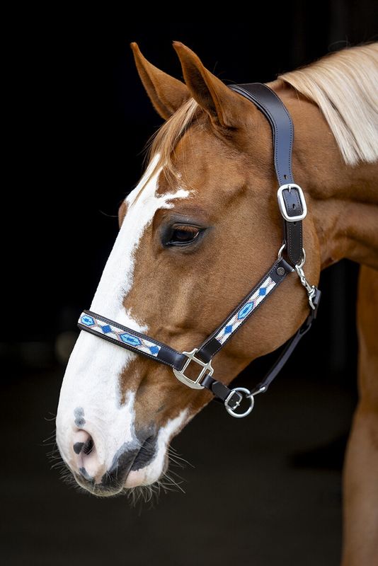 LJ halster Pearl Galaxy Blue Full noisette