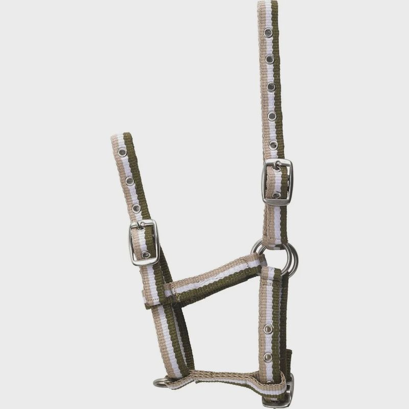 Norton veulenhalster