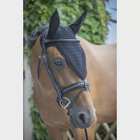 Paddock sports oornet lang