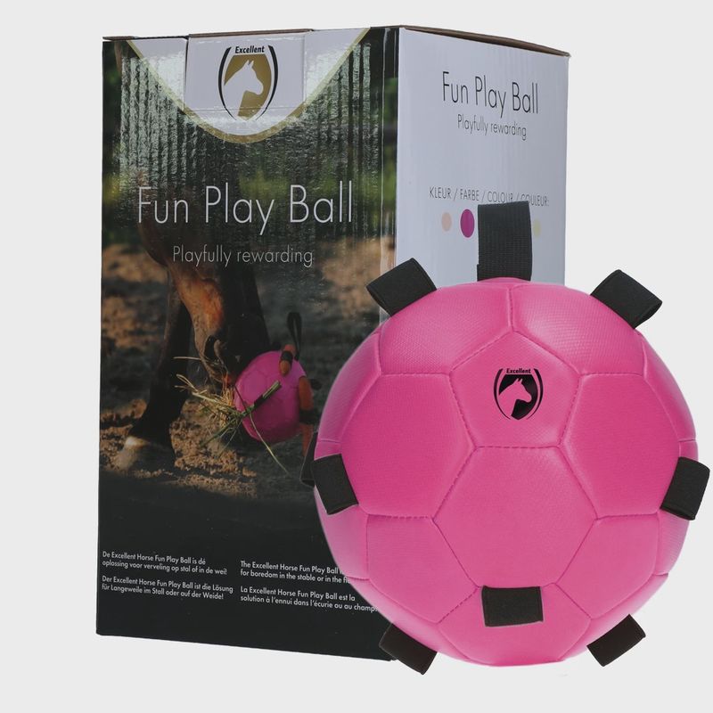 Excellent Fun Play Ball
