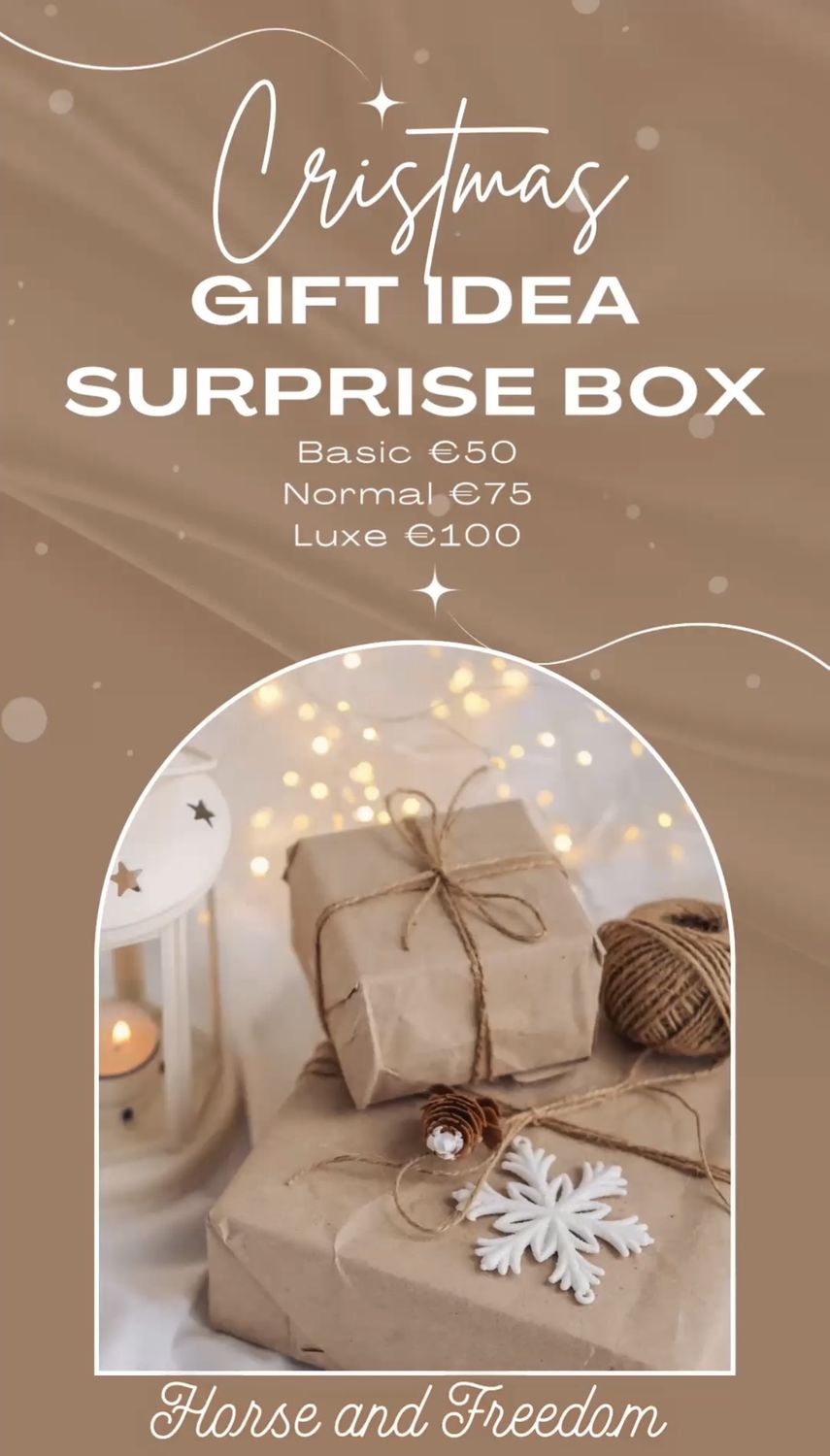 Christmas Surprise Box Horse and Freedom
