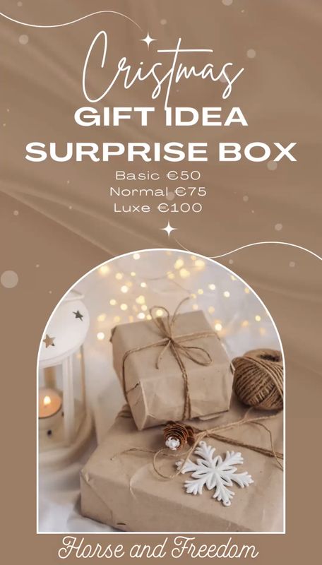 Christmas Surprise Box Horse and Freedom