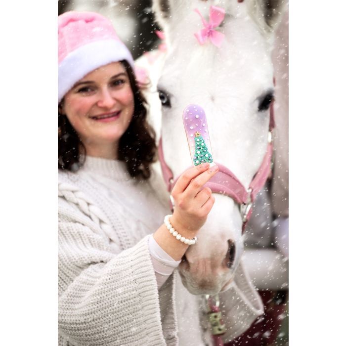 Candy Horse eclair Christmas 2025