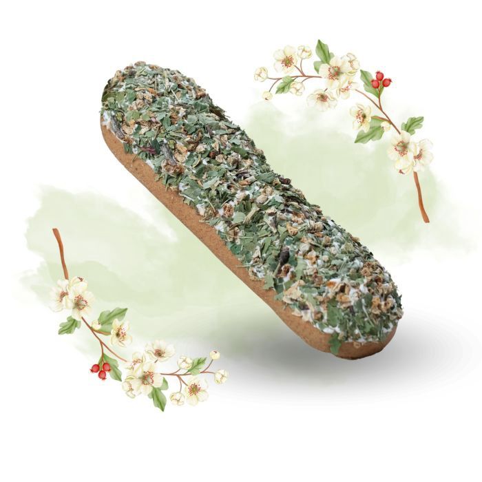 Candy Horse Christmas 2025 Eclair Hawthorn