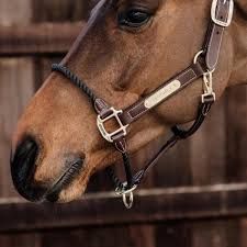 Kentucky leather rope halter
