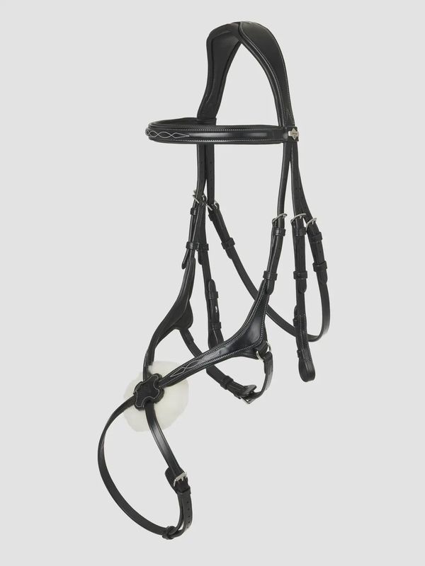 Lemieux kudos grackle bridle