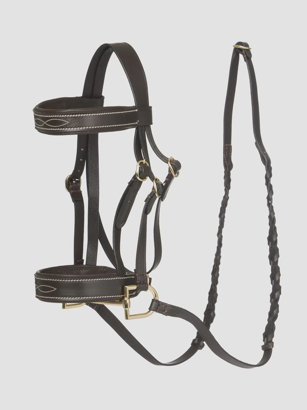 Lemieux hobby horse hunter bridle bruin