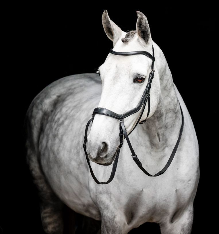 Horseware micklem bitloos hoofdstel