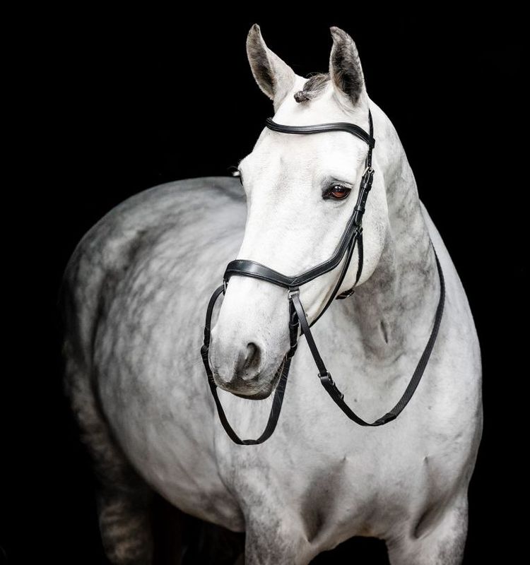 Horseware micklem bitloos hoofdstel