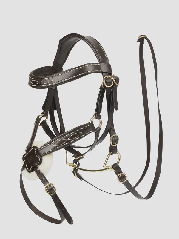 Lemieux hobby horse grackle bridle bruin