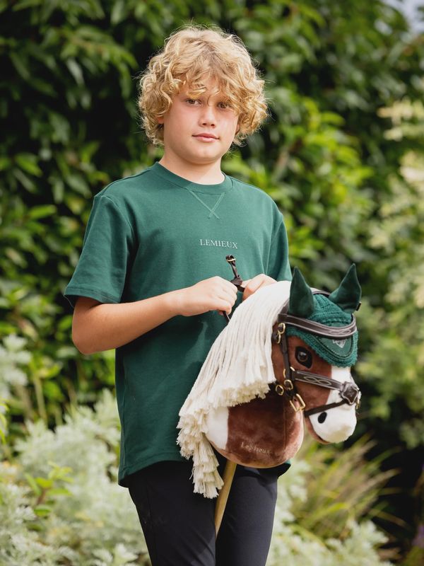 Lemieux hobby horse grackle bridle bruin