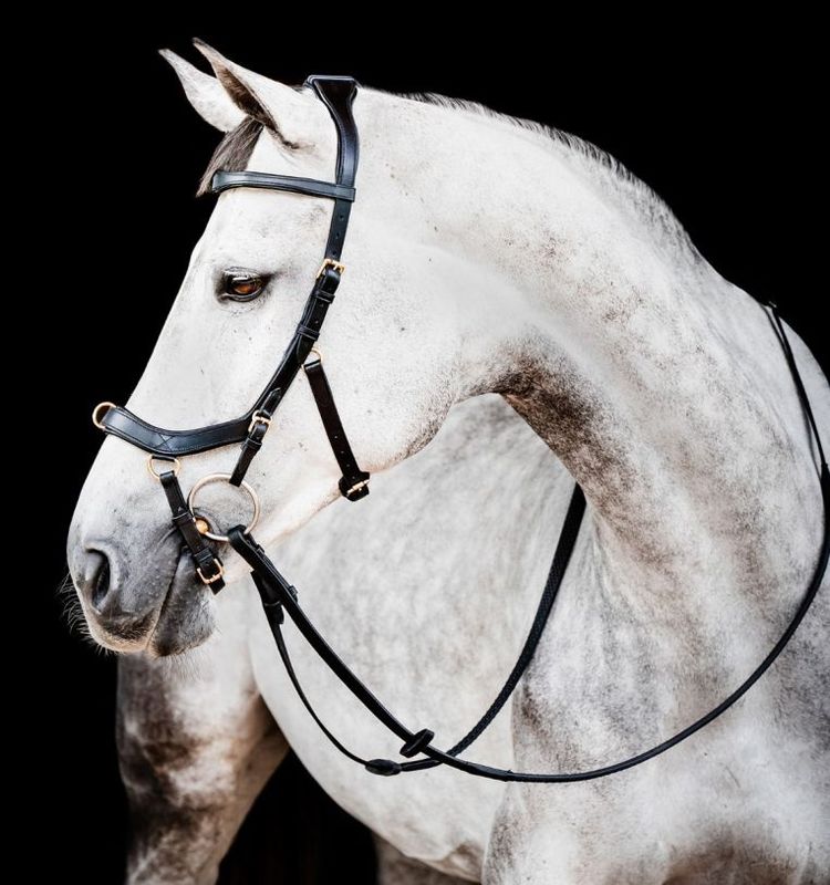 Horseware micklem multi bridle 2